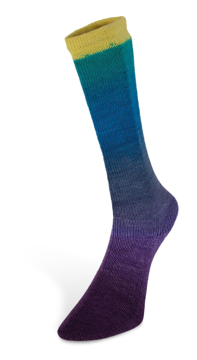 Laines du Nord Harmonious Socks 100 g