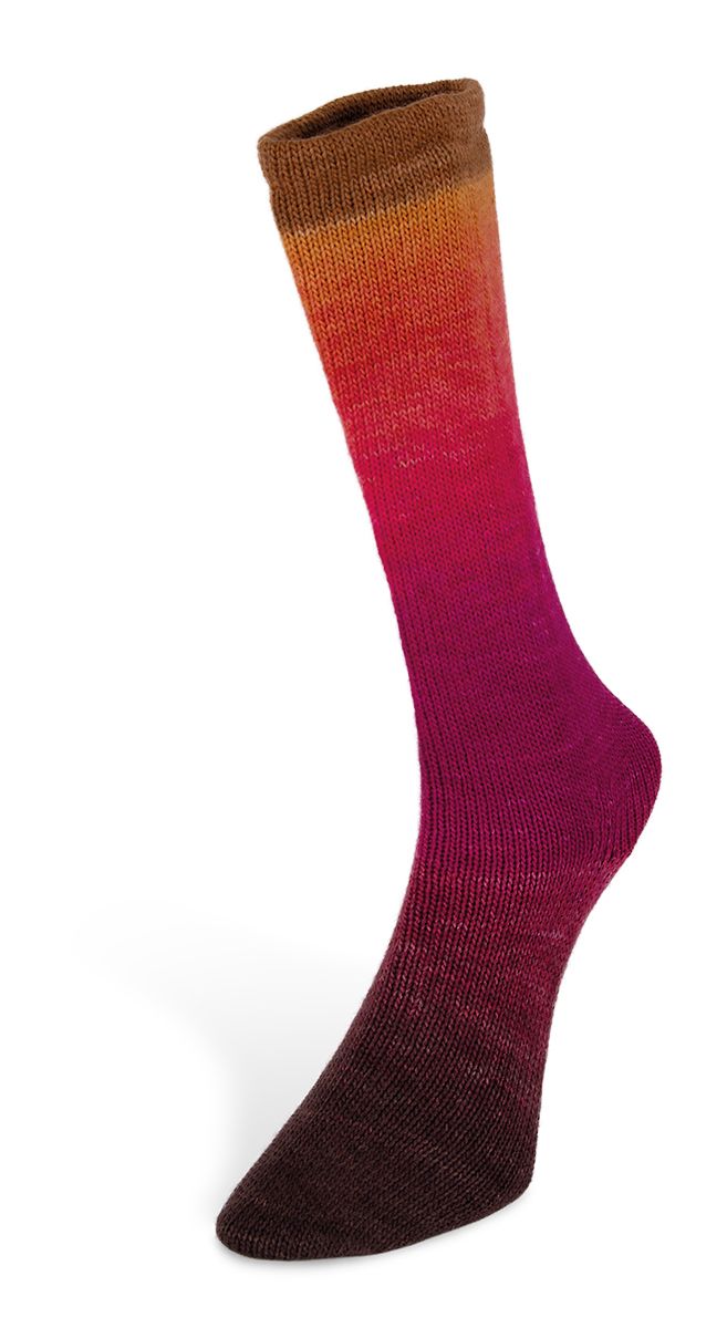Laines du Nord Harmonious Socks 100 g