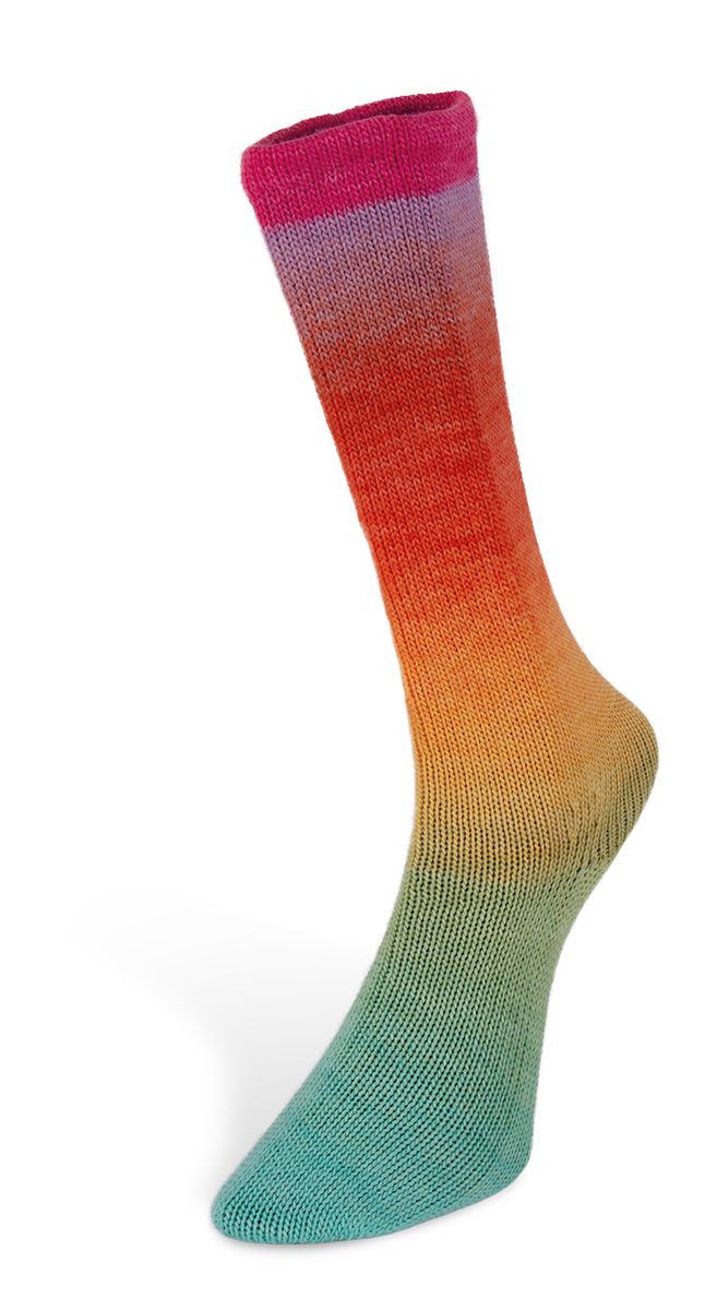 Laines du Nord Harmonious Socks 100 g