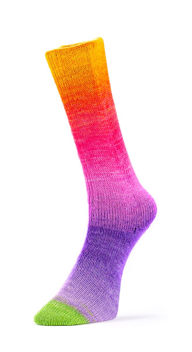Laines du Nord Harmonious Socks 100 g