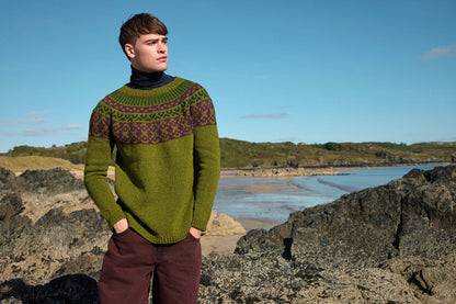 Colorworkpullover Ronan
