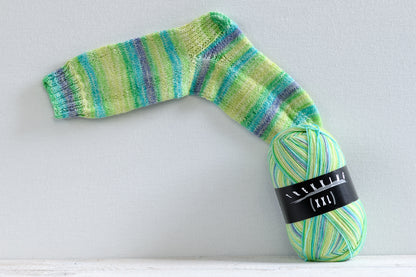 Trekking Color Atelier Zitron